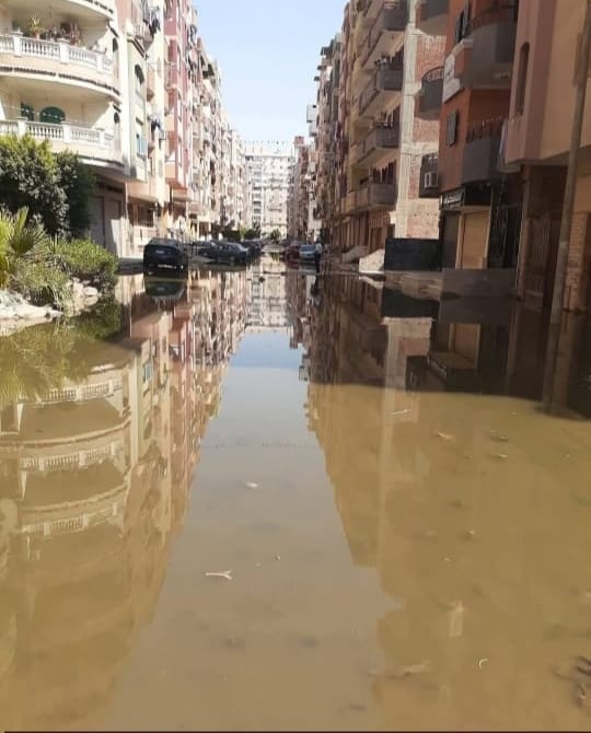 جانب من إجراءات حل المشكلة