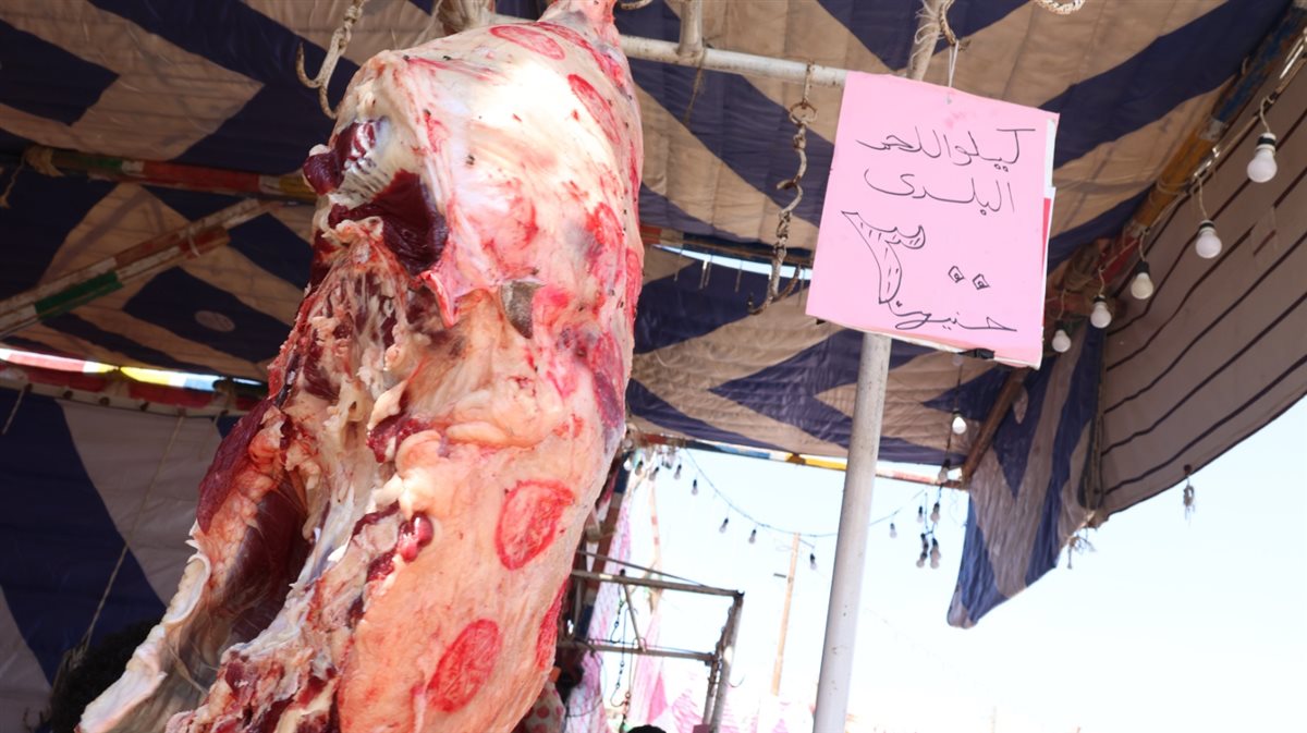 جانب من فاعليات المبادرة&nbsp;