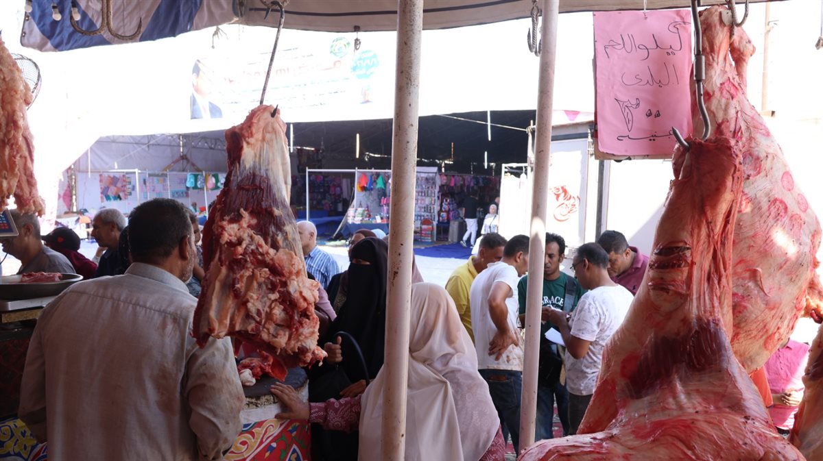 جانب من فاعليات المبادرة&nbsp;