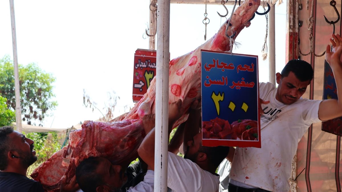 جانب من فاعليات مبادرة بيع اللحوم بأسعار مخفضة