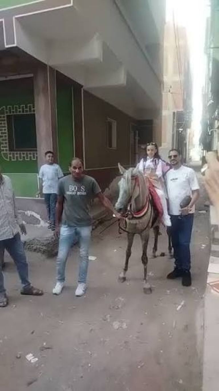 دخول حصان إلى مدرسة بكفر الشيخ