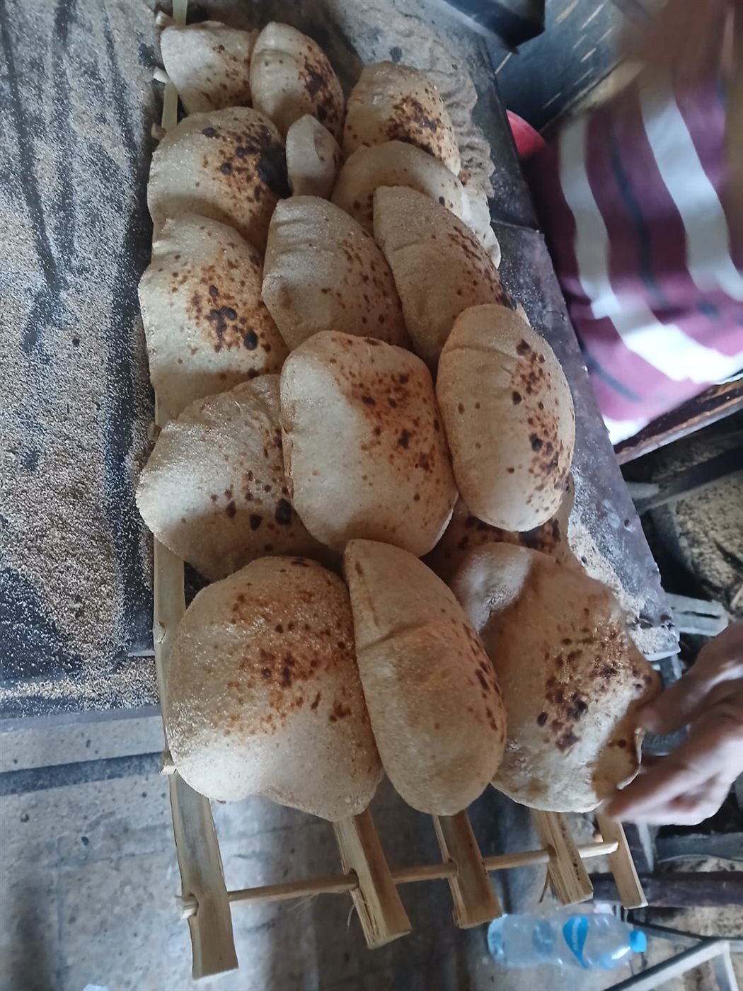 جانب من الحملة