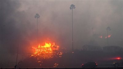 الجنة المفقودة.. كيف تبدو لوس أنجلوس؟