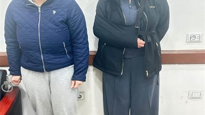 حقيقة الاعتداء على سيدة بالإسكندرية بسبب دفاعها عن الكلاب الضالة