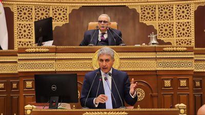 وزير السياحة بمجلس الشيوخ: القطاع السياحي قائم على القطاع الخاص