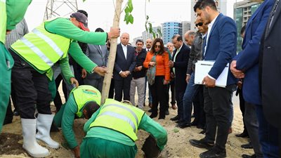 مبادرة 100 مليون شجرة.. تفاصيل مراحل تشجير الطريق الدائري