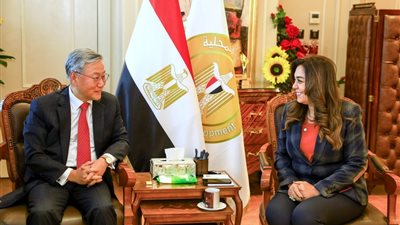 وزيرة التنمية: حريصون على توفير منح تدريبية للكوادر البشرية في كوريا الجنوبية 