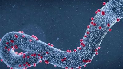 يقتل في 8 أيام.. ما لا تعرفه عن فيروس ماربورغ حاصد الأرواح