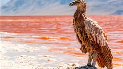 حرارتها تصل إلى 60 درجة.. سر تسمية بحيرة ناترون بـ 