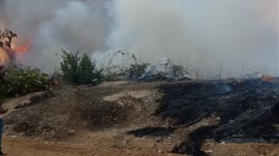 إخماد حريق هائل اندلع في أشجار النخيل بالحي السابع بمدينة الشروق (صور)