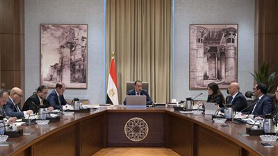 تدعم صنع السياسات.. لجان استشارية من الحكومة والقطاع الخاص للاستفادة من الخبرات