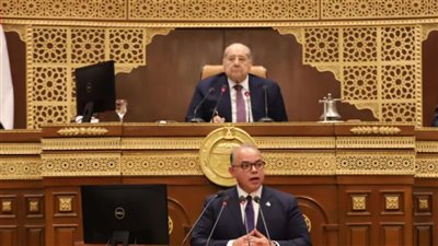 رسالة ثقة للمستثمرين.. رئيس الرقابة المالية: هناك مستهدفات لتنمية الأسواق 