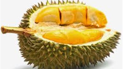 ممنوعة من الفنادق وطعمها حسب الجينات.. سر خطير عن فاكهة الدوريان الماليزية