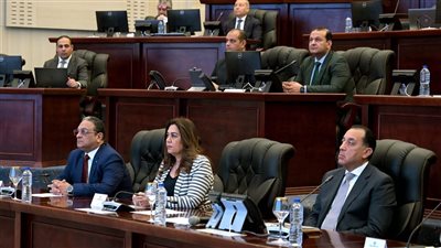 توجيهات رئاسية لـ الحكومة بإدارة محترفة للأزمات والكوارث