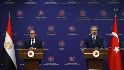 توافق مصري تركي على رفض تهجير الفلسطينيين