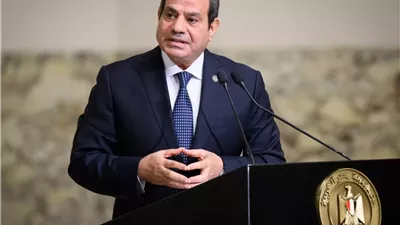 قرار جمهوري بإنشاء قنصلية عامة لمصر في وادي حلفا بالسودان