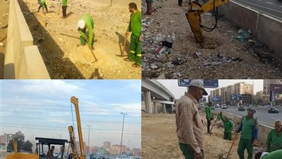 وزيرة التنمية المحلية: بدء تكويد الأشجار المزروعة بالطريق الدائري في القاهرة والجيزة