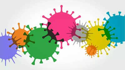 إنفلونزا الطيور أم كورونا أم الإنفلونزا.. أيهما أكثر خطورة؟