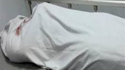 القبض على سائق دهس طفلا وفر هاربًا في السلام