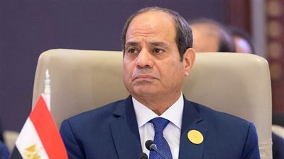 السيسي يعزي ترامب في ضحايا تحطم طائرتين بواشنطن