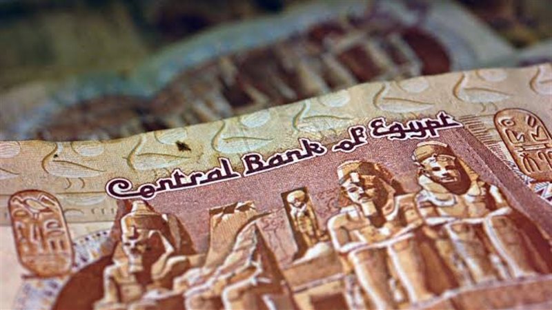 الجنيه المصري 