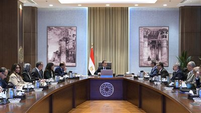 الحكومة تضع 19 إجراءً لإصلاح المنظومة الجمركية وتحفيز الاقتصاد