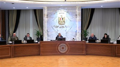 مدبولي: مصر تواصل جهودها لتثبيت وقف إطلاق النار في غزة