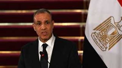 وزير الخارجية: أمن مصر من أمن السودان ولا نقبل المزايدة على دورنا