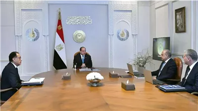 مشروع الربط الكهربائي بين مصر والسعودية.. شراكة استراتيجية لتعزيز الطاقة 