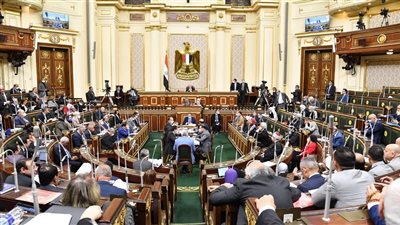 تقسيم الدوائر الانتخابية.. تعديل شكلي أم ضرورة دستورية؟