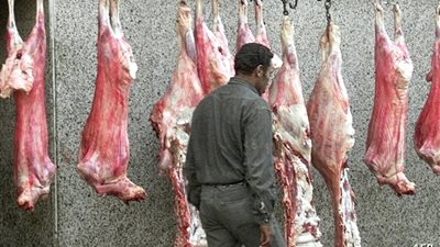 لجنة طوارئ بيطرية تضبط 115 كجم لحوماً فاسدة بقرية طنامل في الدقهلية