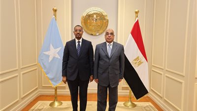  للاستفادة من الخبرة المصرية .. وزير العدل يستقبل نظيره الصومالي لتعزيز التعاون القضائي