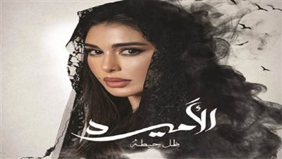 خوف وتحدي.. الإثارة والغموض يسيطران على إعلان مسلسل «الأميرة: ظل حيطة»