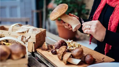 فوائد المشروم.. يقلل خطر الاكتئاب ويدعم صحة المخ ويحمي من السكر 