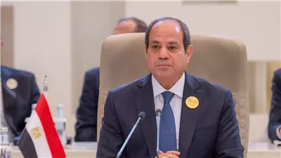 السيسي: أوضاع المنطقة تكبدنا 800 مليون دولار شهريا من إيراد قناة السويس