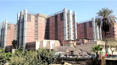 مبادرة وطنية للاحتفاء بتاريخ عريق.. دعوة برلمانية لإطلاق 