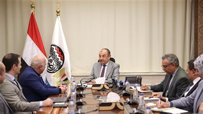 تحسين مناخ الاستثمار الصناعي.. تفاصيل لقاء وزير قطاع الأعمال ووفد تركي