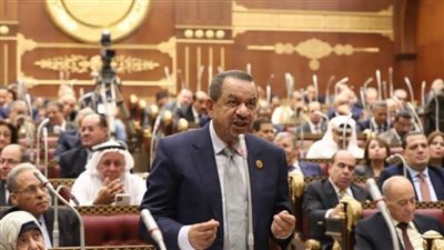 برلماني يطالب بوقف تصدير الخامات: ضرورة لتعزيز القيمة المضافة