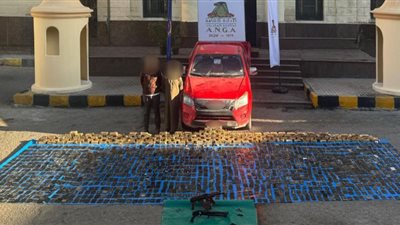 بـ24 مليون جنيه.. ضبط أكبر صفقة حشيش بالإسكندرية ومطروح