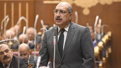 برلماني: كلمة الرئيس السيسي بقمة بغداد جاءت جامعة وشاملة وحملت رسائل قوية 