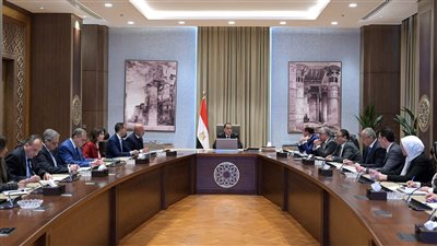 رئيس الوزراء: تصدينا لعمليات التهريب وإغراق الأسواق المصرية 