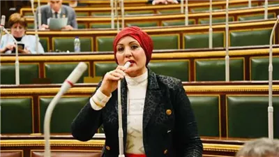 النائبة هناء فاروق: انتصار أكتوبر ملحمة بطولية أبهرت العالم