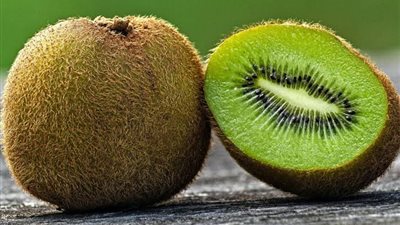 يعزز المناعة ويحمي البشرة.. 8 أسباب تدفعك لتناول الكيوي يوميًا