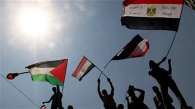 الجهود المصرية في دعم القضية الفلسطينية: مواقف ثابتة ومساعٍ دؤوبة