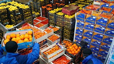 الفلاح كلمة السر.. كيف حققت مصر قفزة نوعية في صادراتها الزراعية؟