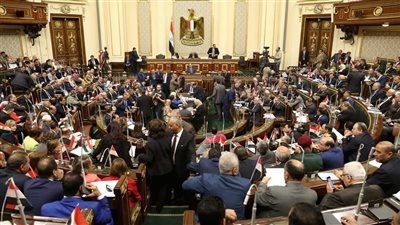 مجلس النواب يوافق على إنشاء اللجنة العليا للمسؤولية الطبية وحماية المريض