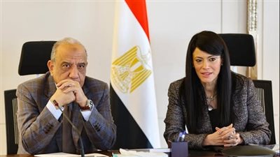 وزيرة التخطيط: 99.9 مليار جنيه لتنفيذ 48 مشروعا بقطاع الكهرباء