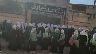 صور| ذعر داخل مدرسة هدى شعراوي بالسلام بسبب حريق 