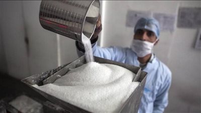سعر الحكومة شجّع المزارعين.. كيف حققت مصر الاكتفاء الذاتي من السكر؟