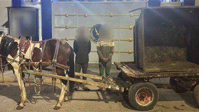 ضبط عاطلين سرقا صندوق قمامة في بنها